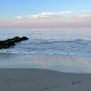 Meet your Posher, Juliet